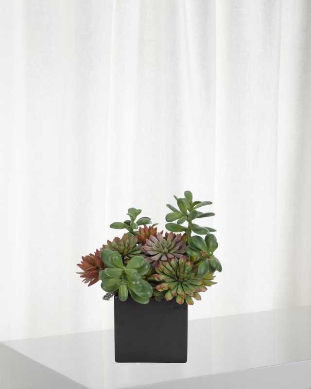 Faux Succulent Plant in Ceramic Cube Planter